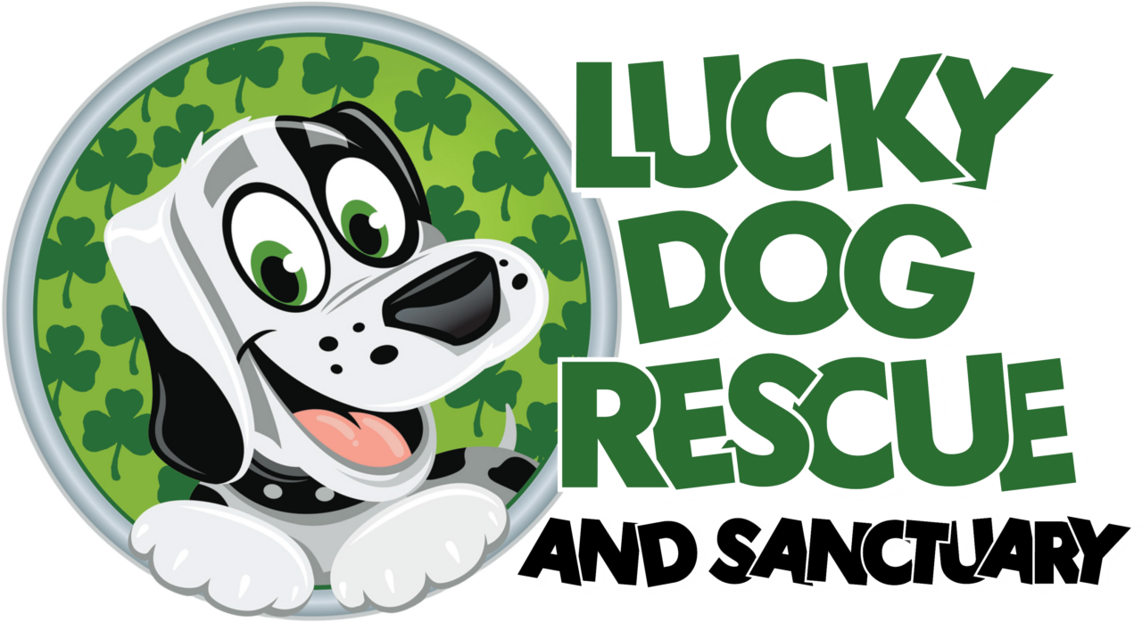Partners Lucky Dog Rescue
